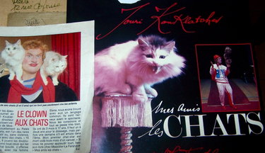 Couverture de Mes amis les chats