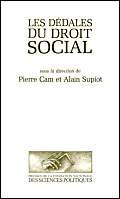 Couverture de Les Dédales du droit social