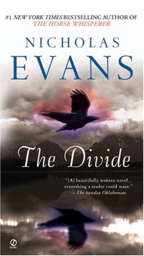 Couverture de The Divide