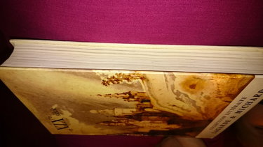 XIX siecle / les grands auteurs français du programme