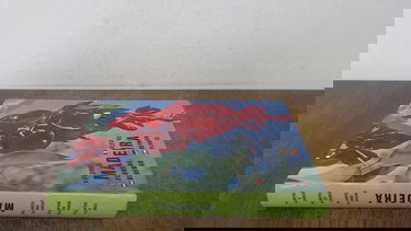 Madeira (Flores/Fleurs/Flowers/Blumen/Bloemen)