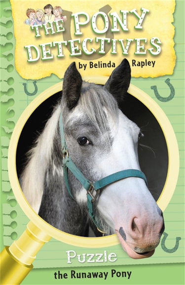 Couverture de Puzzle: The Runaway Pony