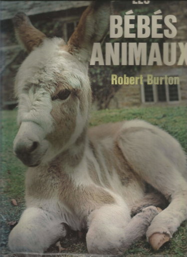 Couverture de Les bébés animaux