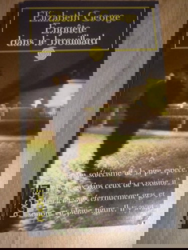 Enquete Dans Le Brouillard