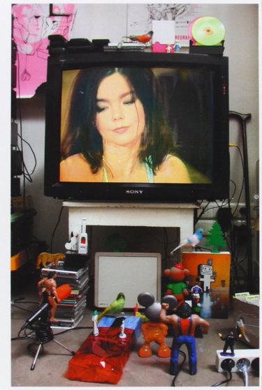 Couverture de Björk : Live N Loud & Unplugged 1994
