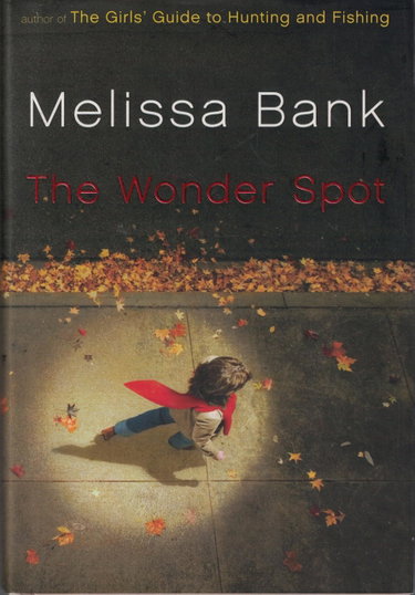 Couverture de The Wonder Spot
