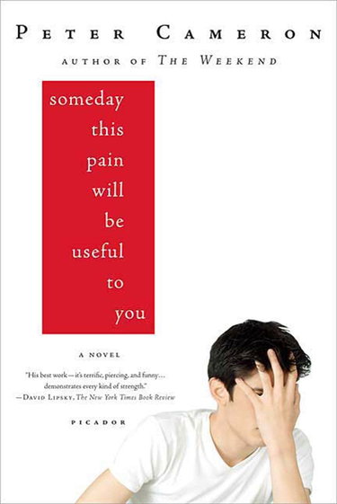 Couverture de Someday This Pain Will Be Useful to You