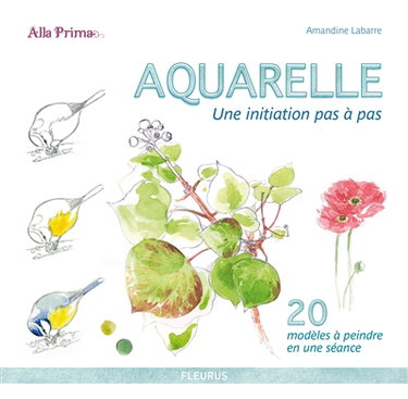 Couverture de Aquarelle : une initiation pas à pas : 20 modèles à peindre en une séance par Amandine Labarre