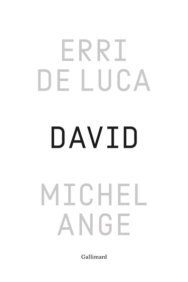 Couverture de David, Michel-Ange : enquête sur une disproportion