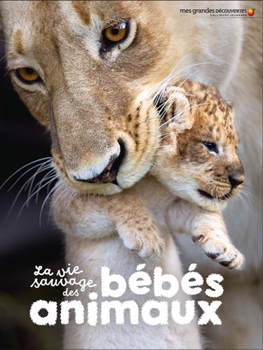 Couverture de La vie sauvage des bébés animaux