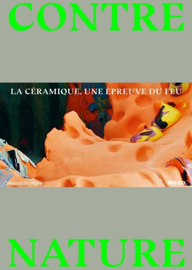 Couverture de Contre-nature : la céramique, une épreuve du feu