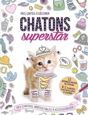 Couverture de Chatons superstar : des chatons irrésistibles à accessoiriser par Collectif