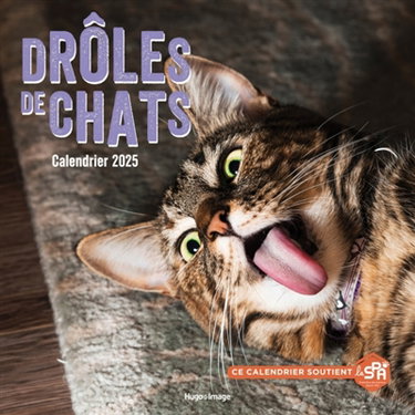 Couverture de Calendrier mural drôles de chats 2025
