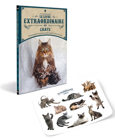 Couverture de Le livre extraordinaire des chats