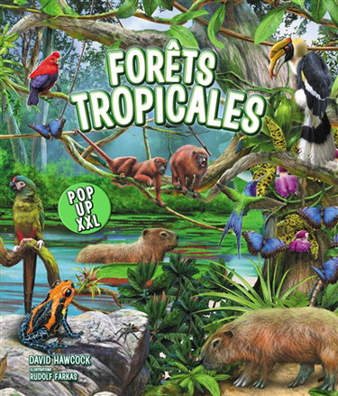 Couverture de Forêts tropicales par David Hawcock