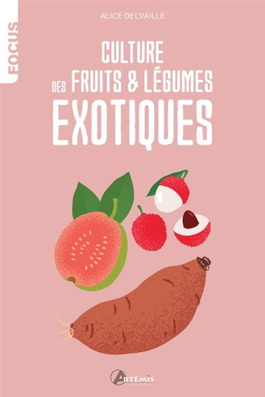 Couverture de Culture des fruits & légumes exotiques
