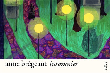 Couverture de Insomnies