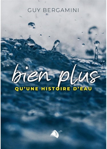 Couverture de Bien plus qu'une histoire d'eau : en chemin pour le baptême selon Jésus-Christ