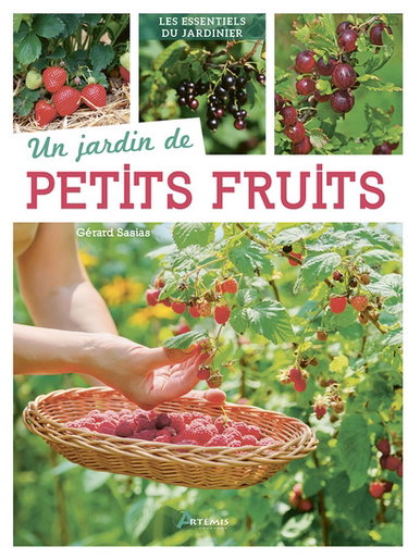 Couverture de Un jardin de petits fruits