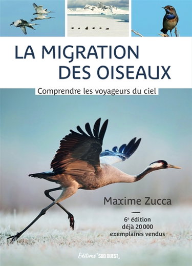 Couverture de La migration des oiseaux : comprendre les voyageurs du ciel