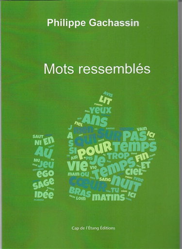 Couverture de Mots ressemblés