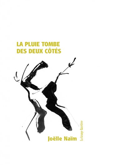 Couverture de La pluie tombe des deux côtés par Joëlle Naïm