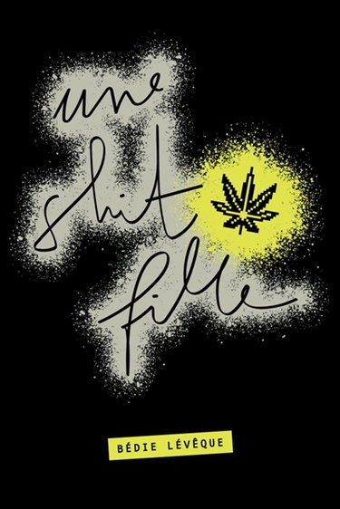 Couverture de Une shit fille