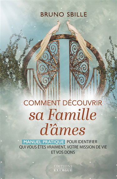 Couverture de Comment découvrir sa famille d'âmes : manuel pratique pour identifier qui vous êtes vraiment, votre mission de vie et vos dons par Bruno Sbille