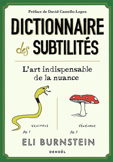Couverture de Dictionnaire des subtilités : l'art indispensable de la nuance