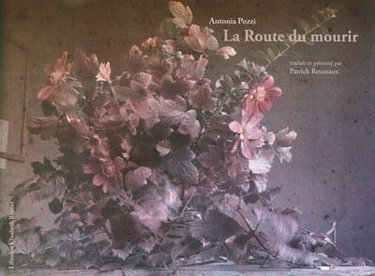 Couverture de La route du mourir : poèmes par Antonia Pozzi