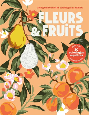 Couverture de Fleurs & fruits : 30 coloriages mystères
