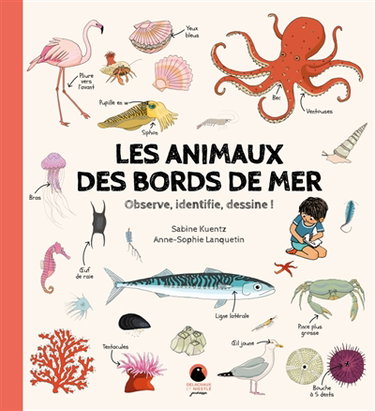 Couverture de Les animaux des bords de mer : observe, identifie, dessine !