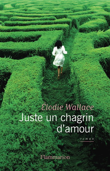Couverture de Juste un chagrin d'amour