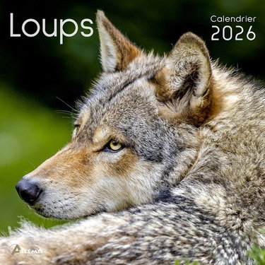 Couverture de Loups : calendrier 2026 : de septembre 2025 à décembre 2026 par Collectif