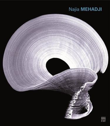 Couverture de Najia Mehadji : la révélation du geste par Rémi Labrusse