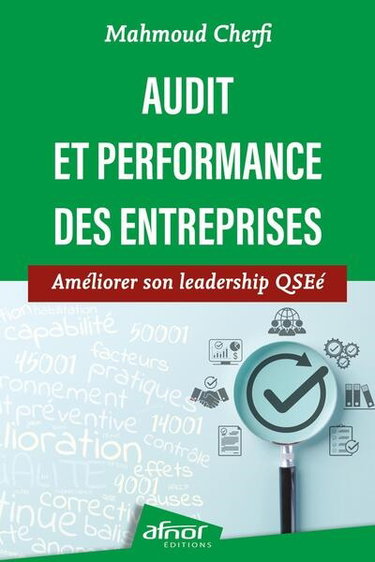 Couverture de Audit et performance des entreprises : améliorer son leadership QSEé