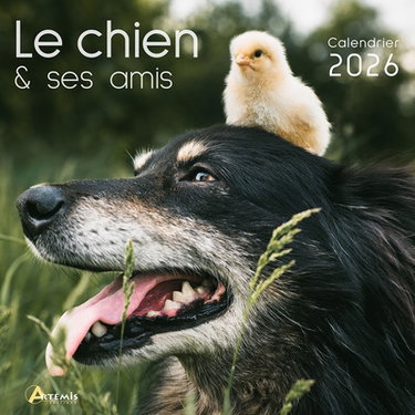 Couverture de Le chien & ses amis : calendrier 2026 : de septembre 2025 à décembre 2026 par Collectif
