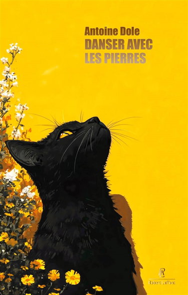 Couverture de Danser avec les pierres par Antoine Dole
