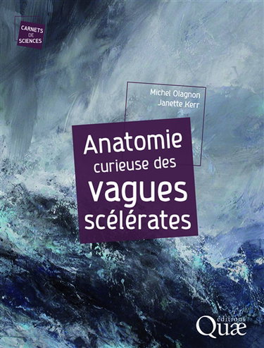 Couverture de Anatomie curieuse des vagues scélérates par Michel Olagnon