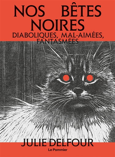 Couverture de Nos bêtes noires : diaboliques, mal-aimées, fantasmées par Julie Delfour