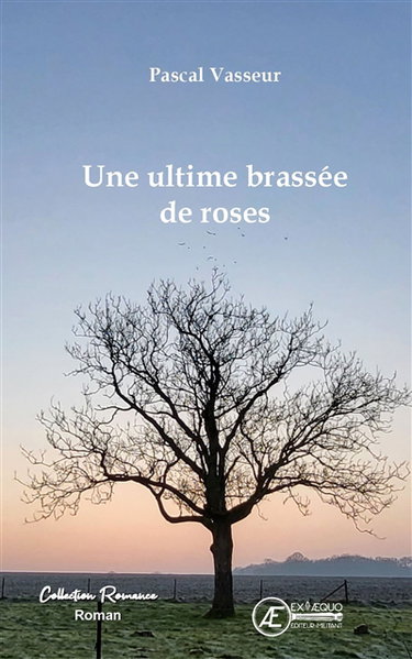 Couverture de Une ultime brassée de roses