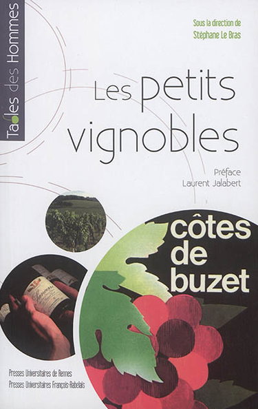 Couverture de Les petits vignobles en France : des territoires en question par Stéphane Le Bras