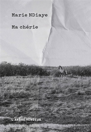 Couverture de Ma chérie
