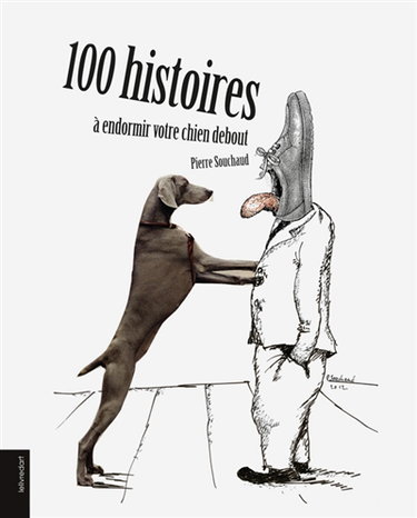 Couverture de 100 histoires à endormir votre chien debout