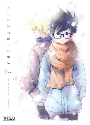 Couverture de Cicatrices. Vol. 2