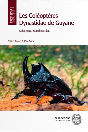 Couverture de Les coléoptères dynastidae de Guyane : coleoptera, scarabaeoidea
