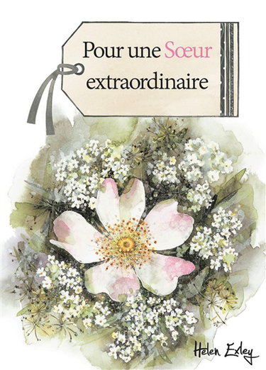 Couverture de Pour une soeur extraordinaire