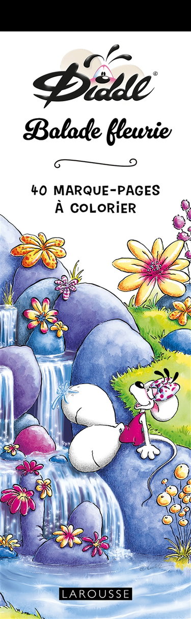 Couverture de Balade fleurie : 40 marque-pages Diddl