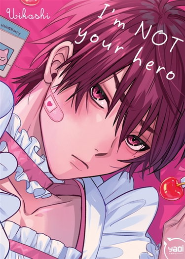 Couverture de I'm not your hero