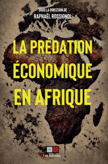 Couverture de La prédation économique en Afrique